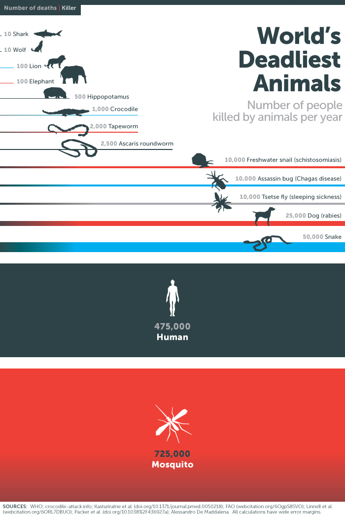 World's Deadliest Animals infographic — mosquitoes kill 725,000 people per year