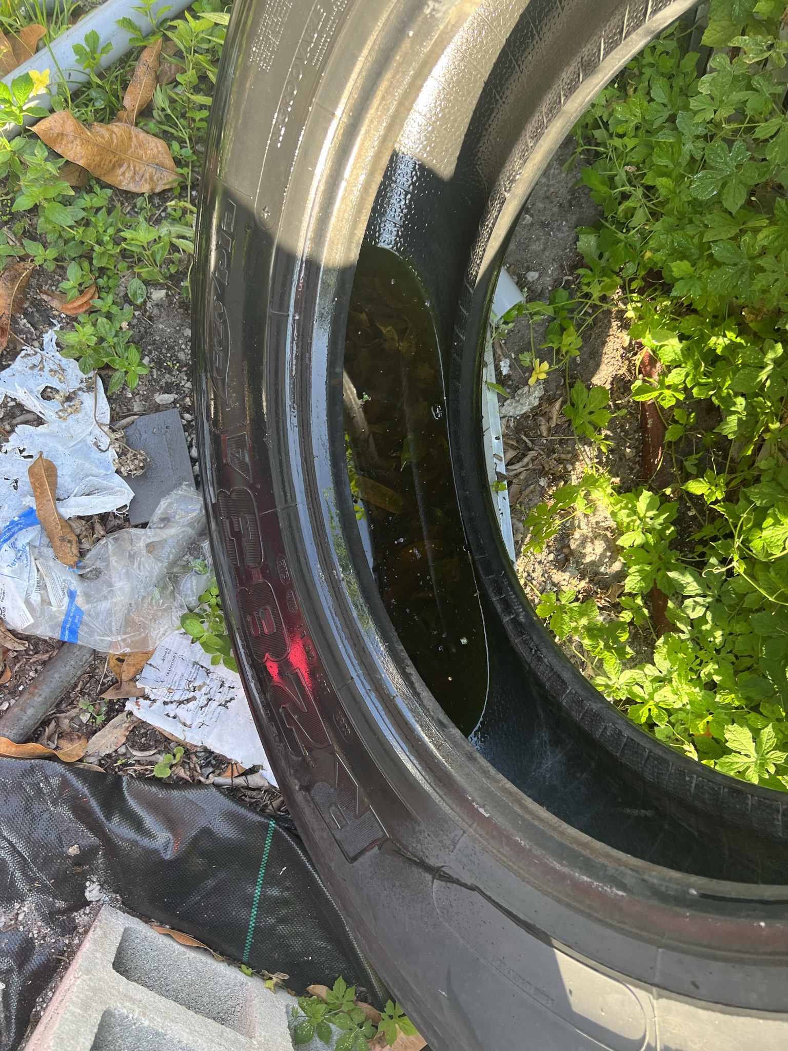 Mosquito Shield South Florida pest control