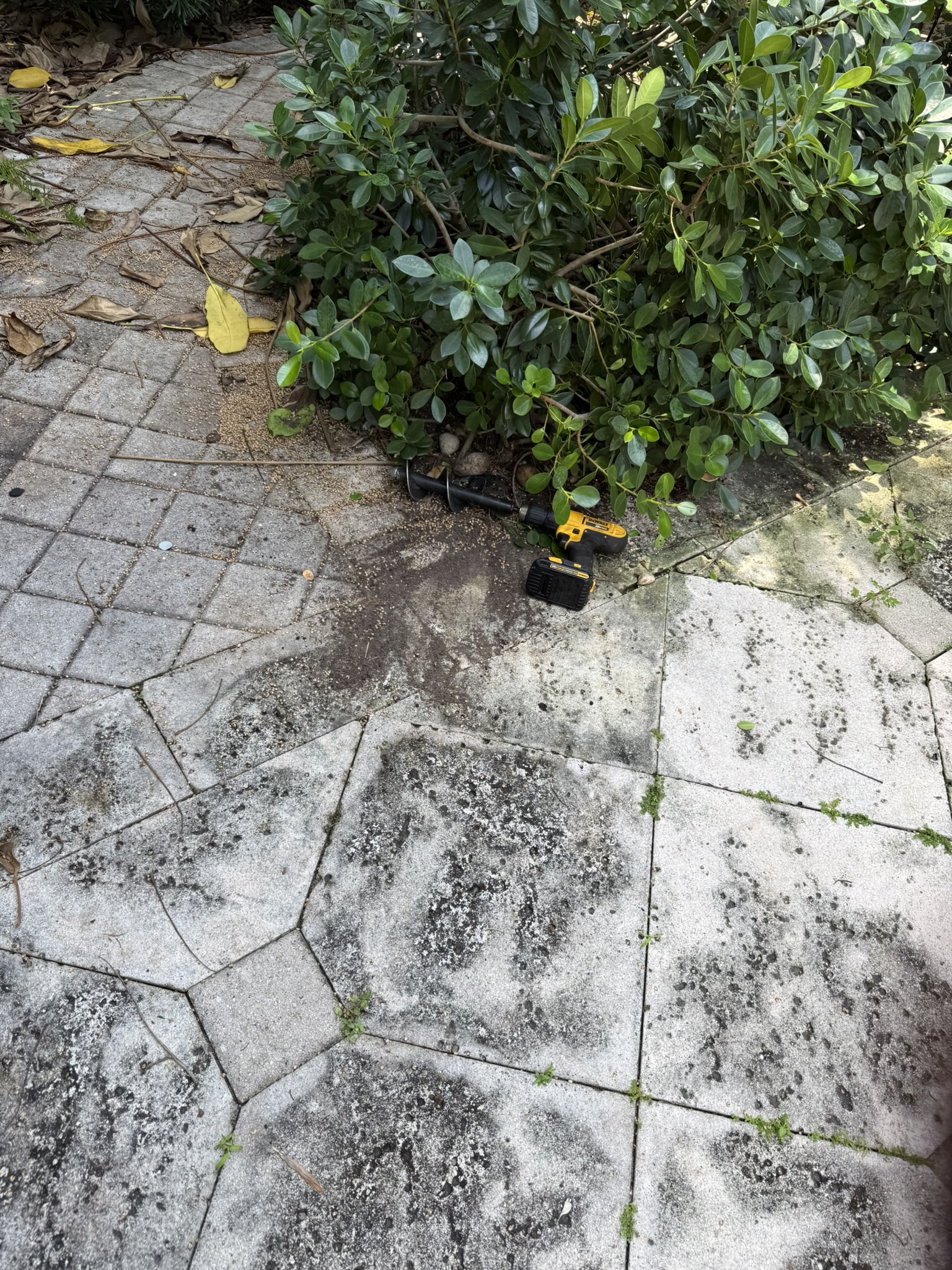Mosquito Shield South Florida pest control