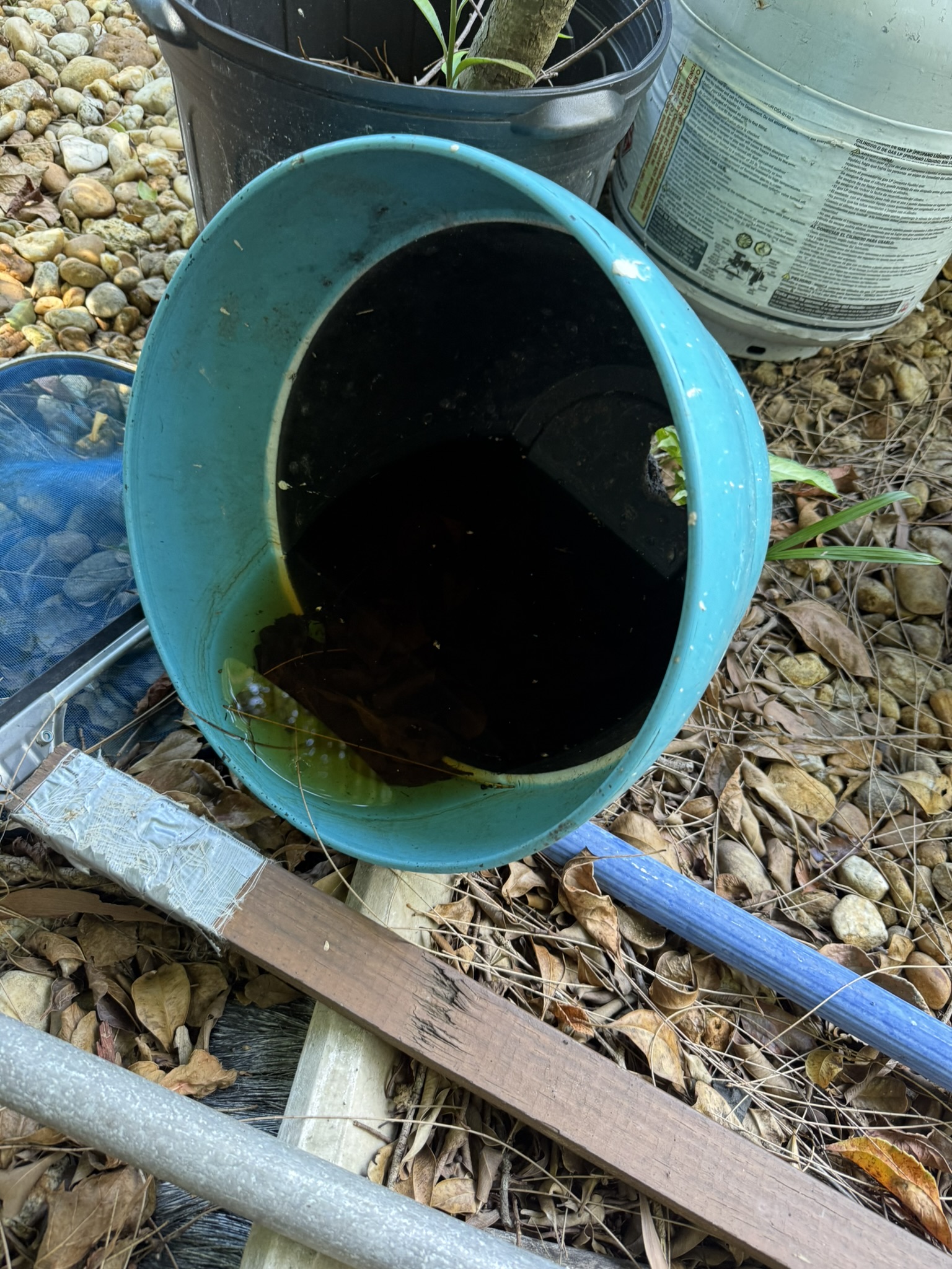 Mosquito Shield South Florida pest control